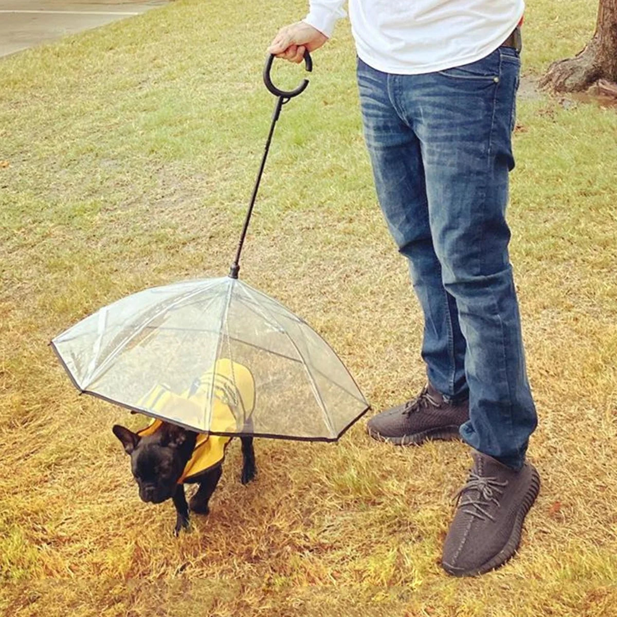 Dog Umbrella, Clear Pet Umbrella Flexible Handle Umbrella for Dog with Rope for Small Pets